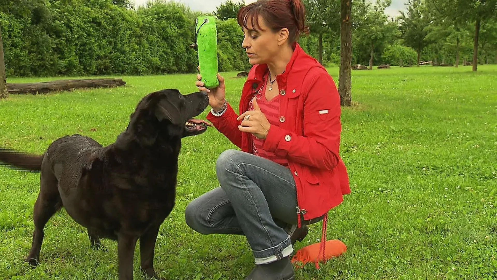 Tiergeschichten2 - VOX - Diana und Labrador