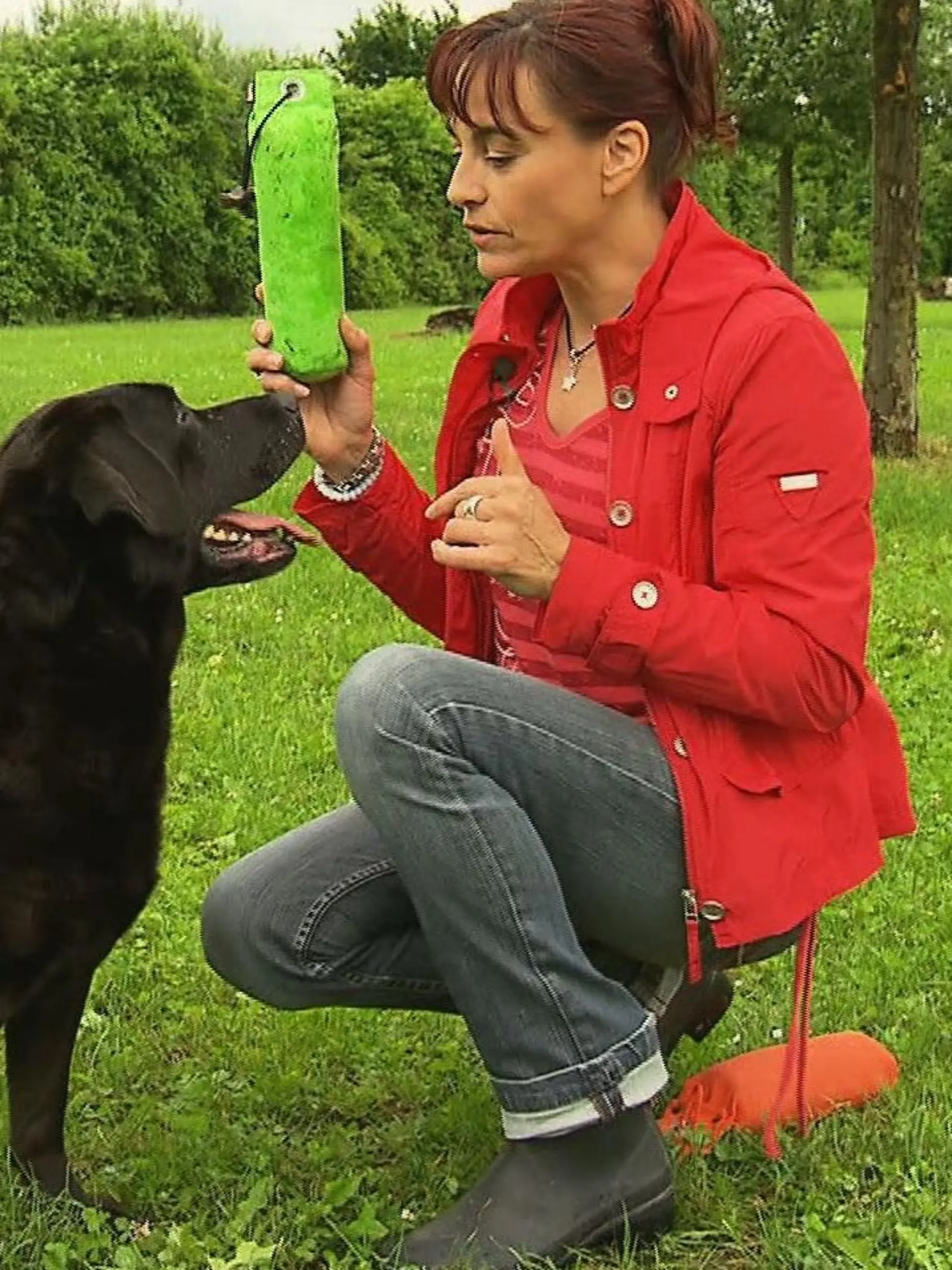 Tiergeschichten2 - VOX - Diana und Labrador