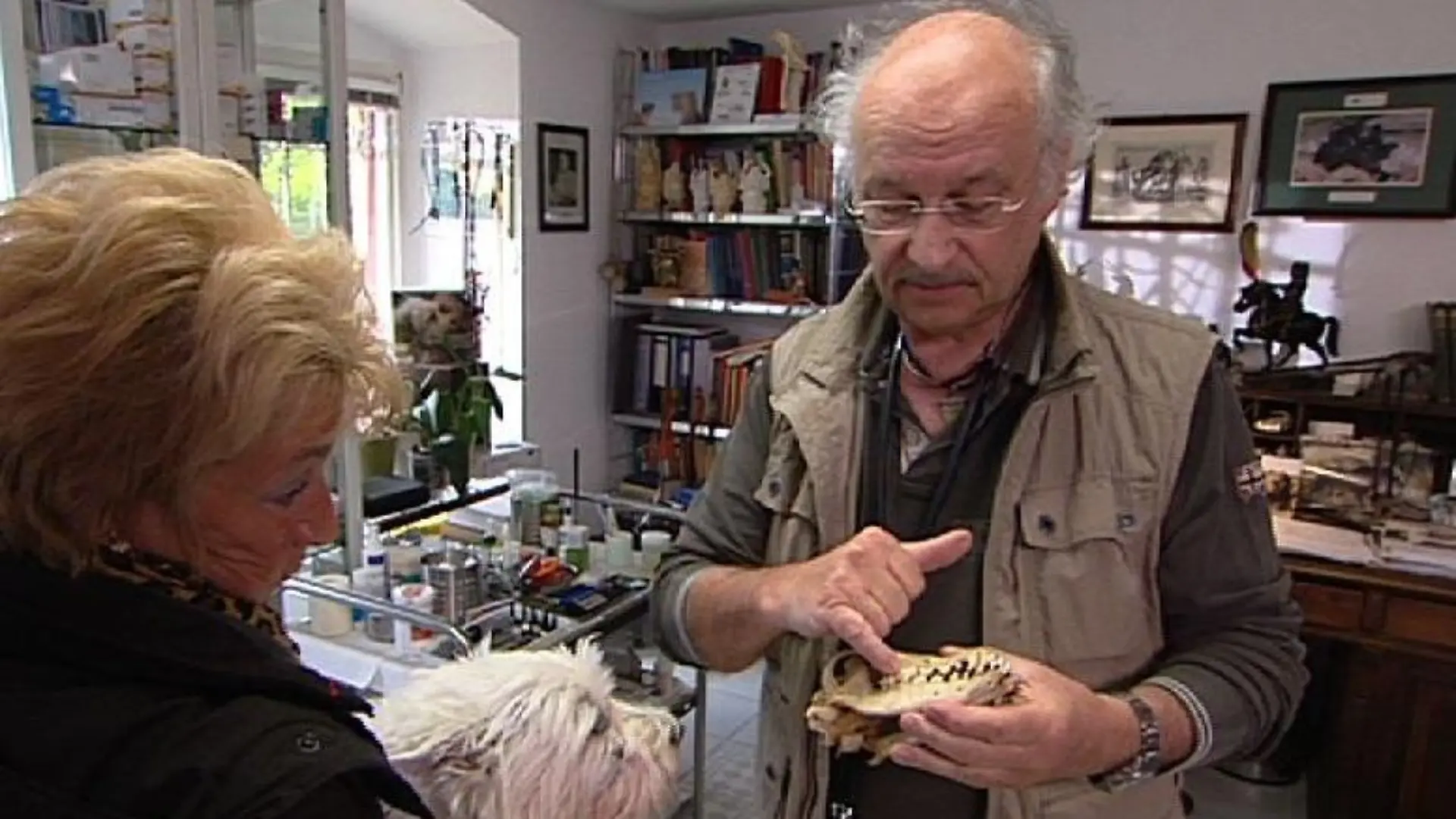 Sprechstunde - Dr. Wolf und Hund mit Zahnfistel