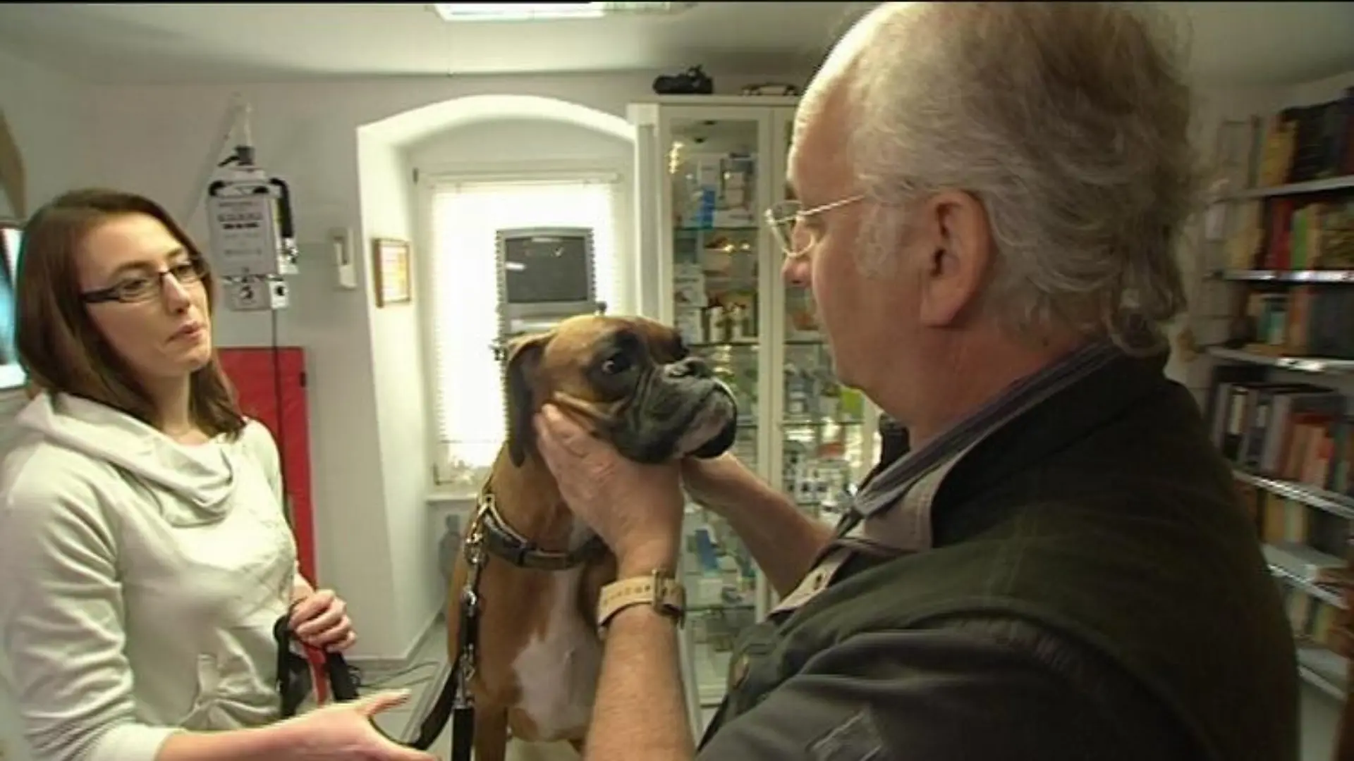 sprechstunde2 drwolf mit boxerhündin