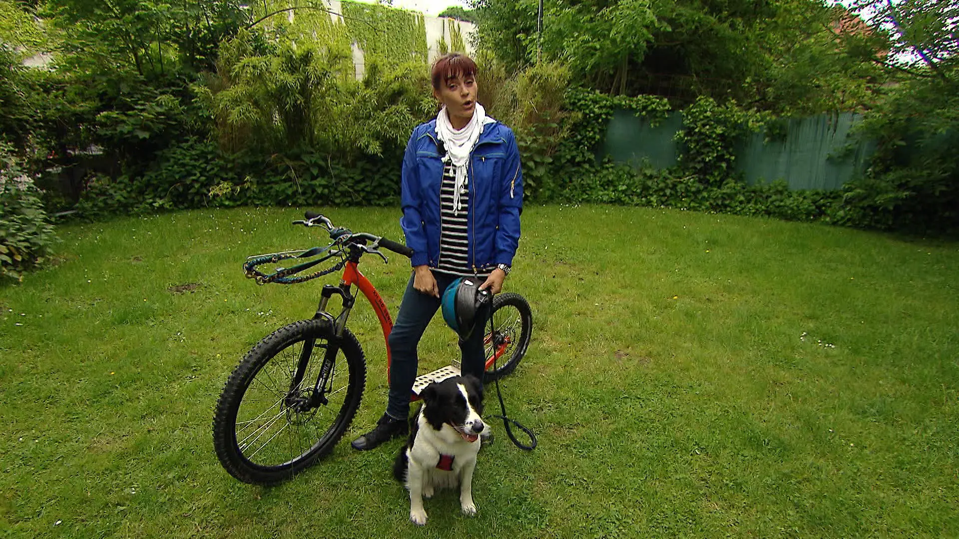 Tiergeschichten4 - VOX - hundkatzemaus-Reporterin versucht sich in der rasanten Hundezugsportart Dogscooting
