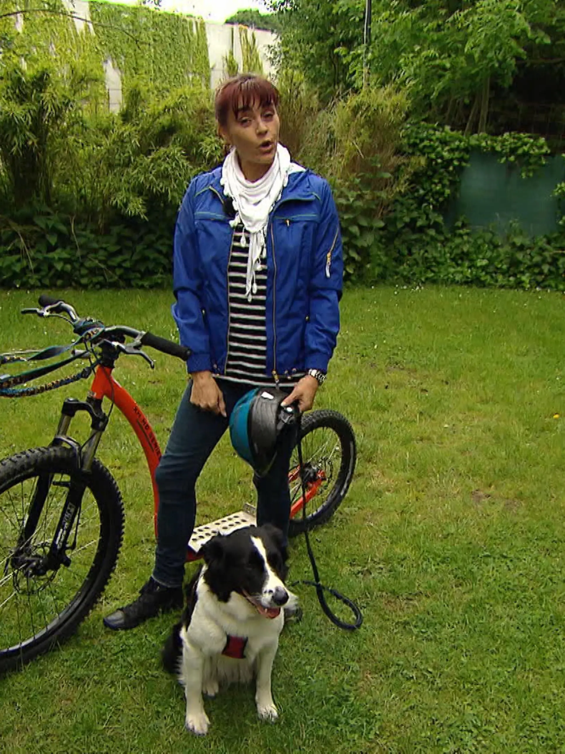 Tiergeschichten4 - VOX - hundkatzemaus-Reporterin versucht sich in der rasanten Hundezugsportart Dogscooting