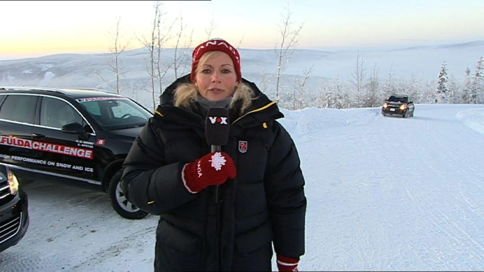 Birte1