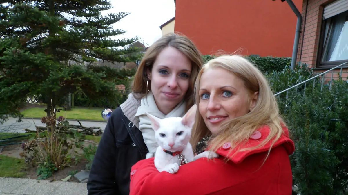 Tieranwalt - Katze auf Abwegen 2 - Neue Katze fr Sabrina