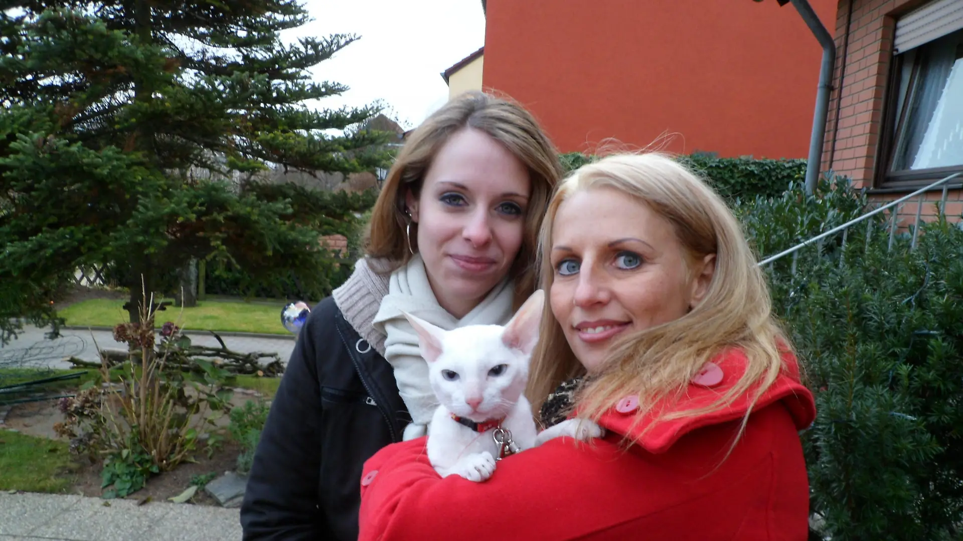 Tieranwalt - Katze auf Abwegen 2 - Neue Katze fr Sabrina