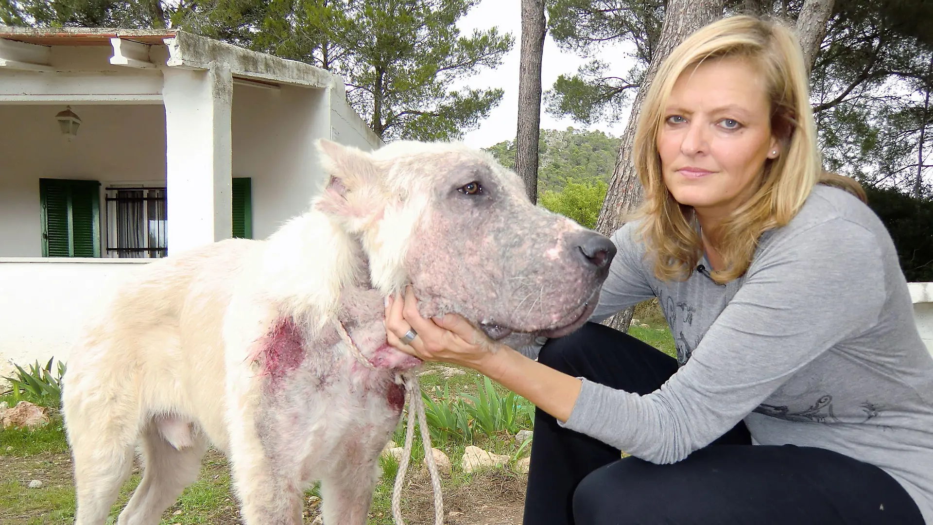 Petra Steiner vom Dachverband der balearischen Tierschutzvereine Baldea mit dem beschlagnahmten Hund