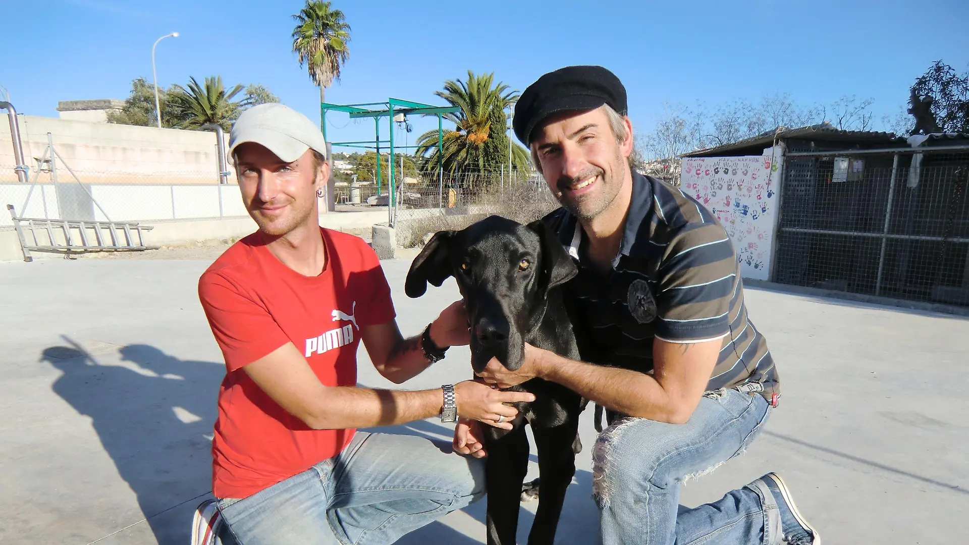 René Marichal-Navarro (35, l.) und Stefan Track (39) leiten für den Verein First Aid Animales Mallorca das Tierheim in Felantix.
