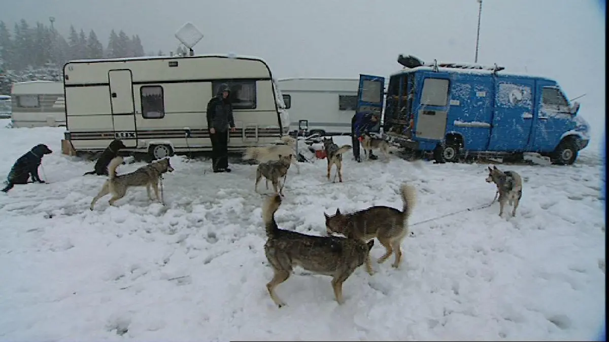 Tiergeschichten 3 - Bild 2 - Camping im Schnee