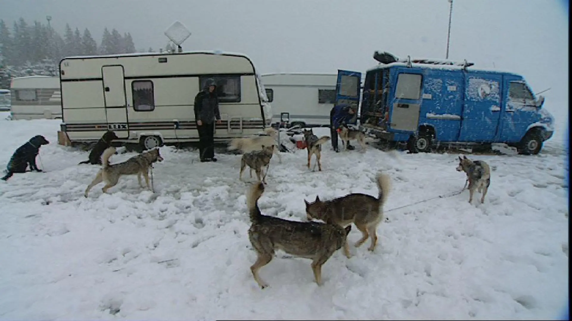 Tiergeschichten 3 - Bild 2 - Camping im Schnee