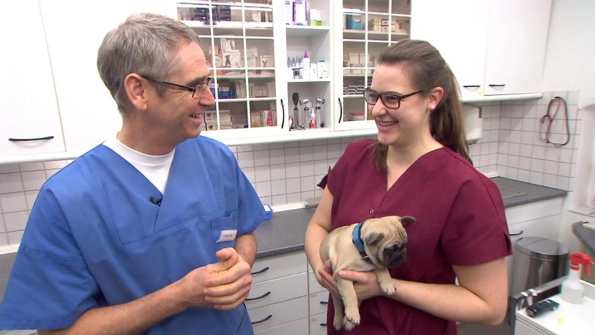 Tiergeschichten3 - VOX-DOCMA TV - Neue Mini-Serie ber Tierklinik Isernhagen - Dr. Werner Thiet und Ann-Katrin Deliga mit Franzsischer Bulldogge Paul