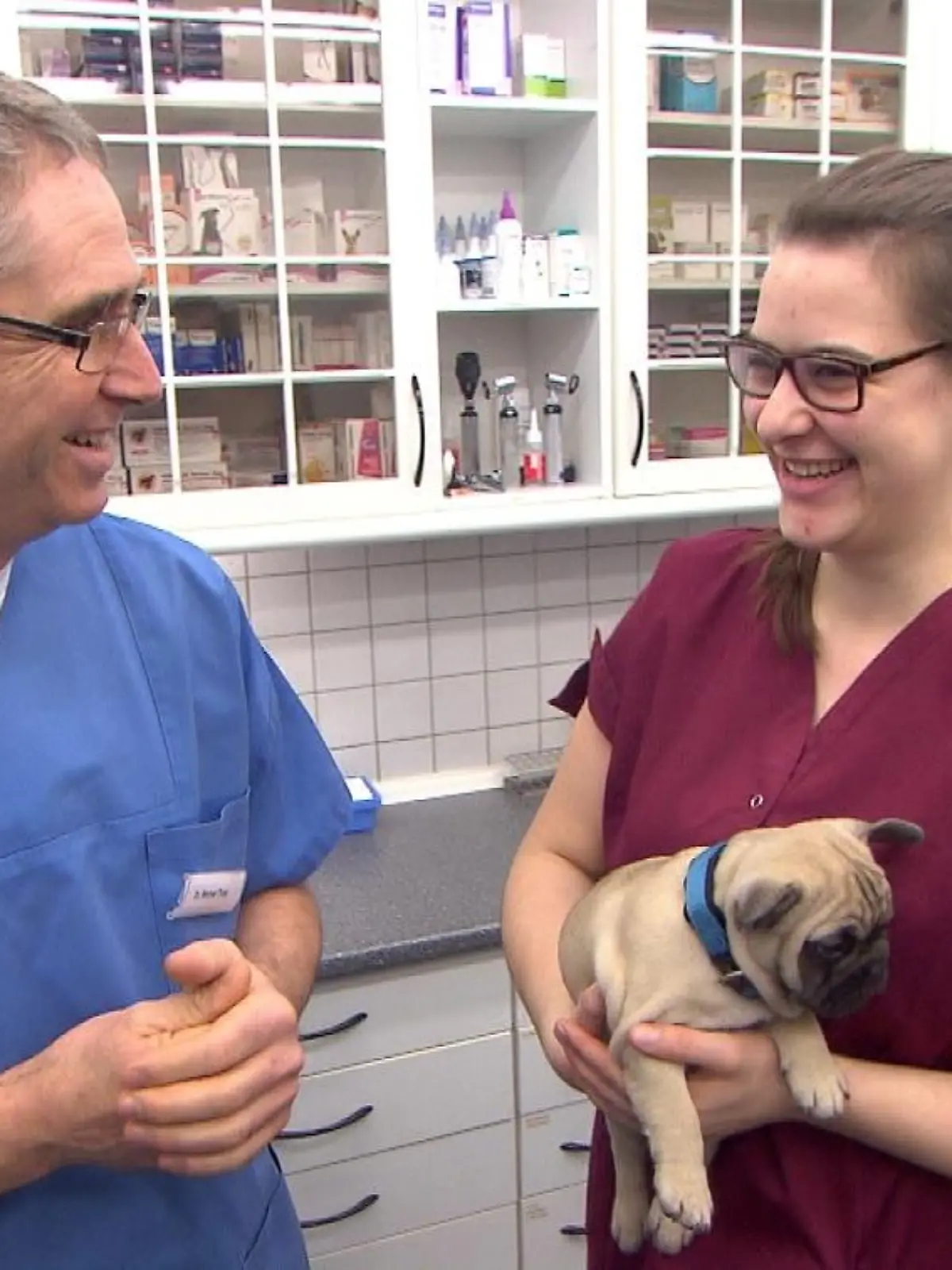 Tiergeschichten3 - VOX-DOCMA TV - Neue Mini-Serie ber Tierklinik Isernhagen - Dr. Werner Thiet und Ann-Katrin Deliga mit Franzsischer Bulldogge Paul