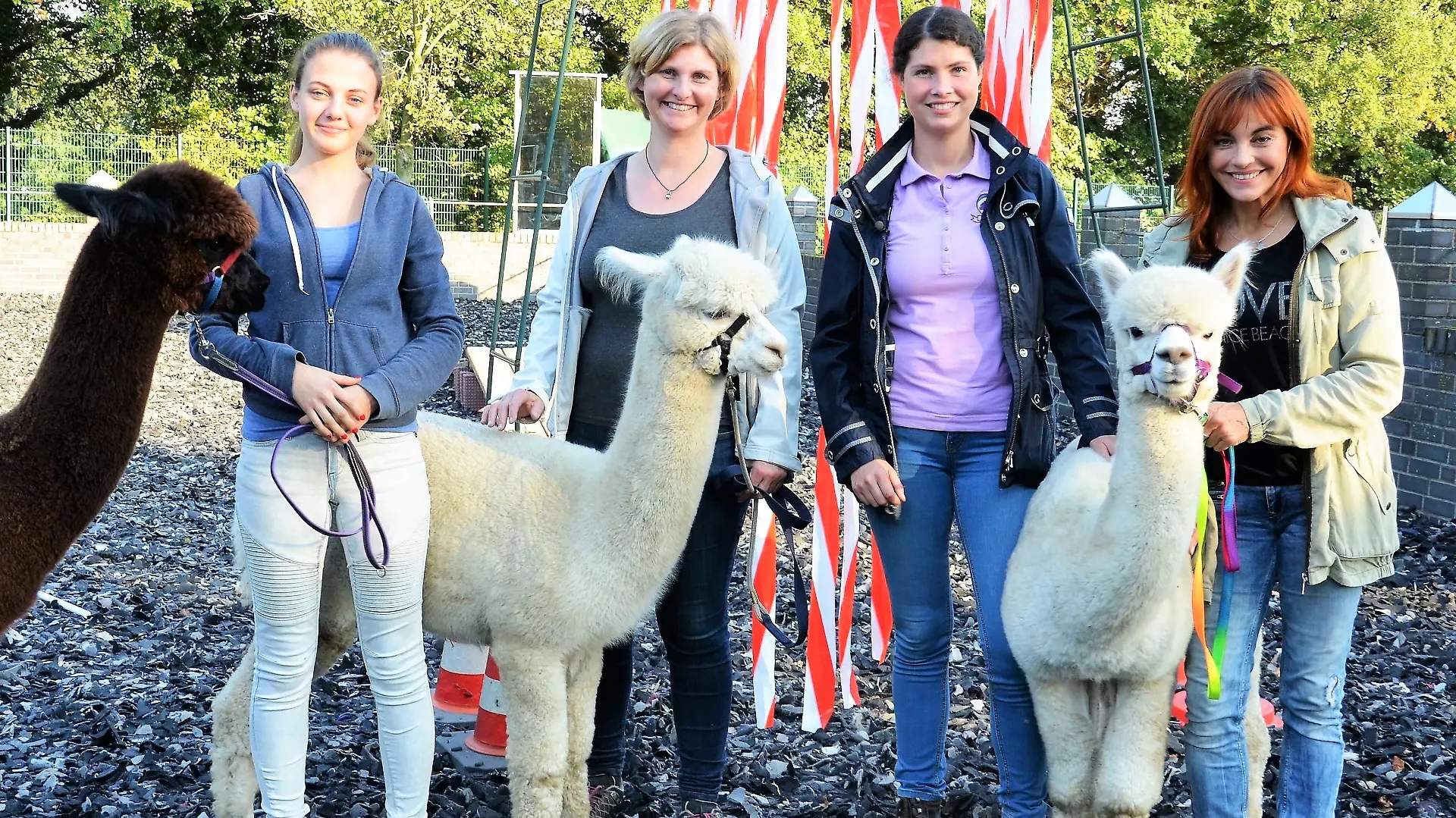 HKM Alpaka-Agility: von links: Kurs-Teilnehmerinnen Annkathrin Koopmann mit Bam Bam und Sabine Hartmann mit Savanti, Trainerin Talina Lorei und Diana Eichhorn mit Alpaka-Hengst Yeti. Fotograf: Julia Panzer, 18.10.2017, Schermbeck