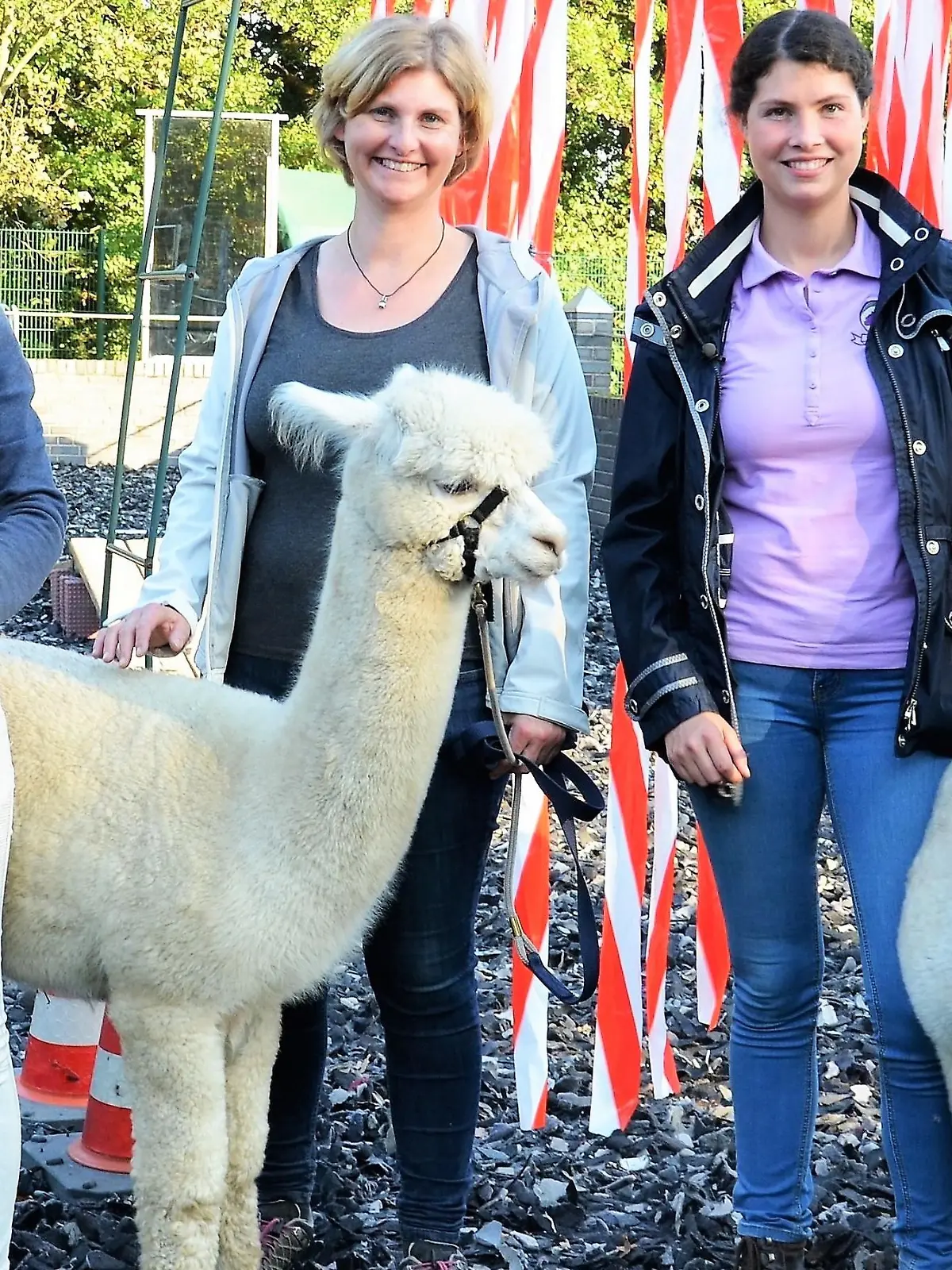 HKM Alpaka-Agility: von links: Kurs-Teilnehmerinnen Annkathrin Koopmann mit Bam Bam und Sabine Hartmann mit Savanti, Trainerin Talina Lorei und Diana Eichhorn mit Alpaka-Hengst Yeti. Fotograf: Julia Panzer, 18.10.2017, Schermbeck