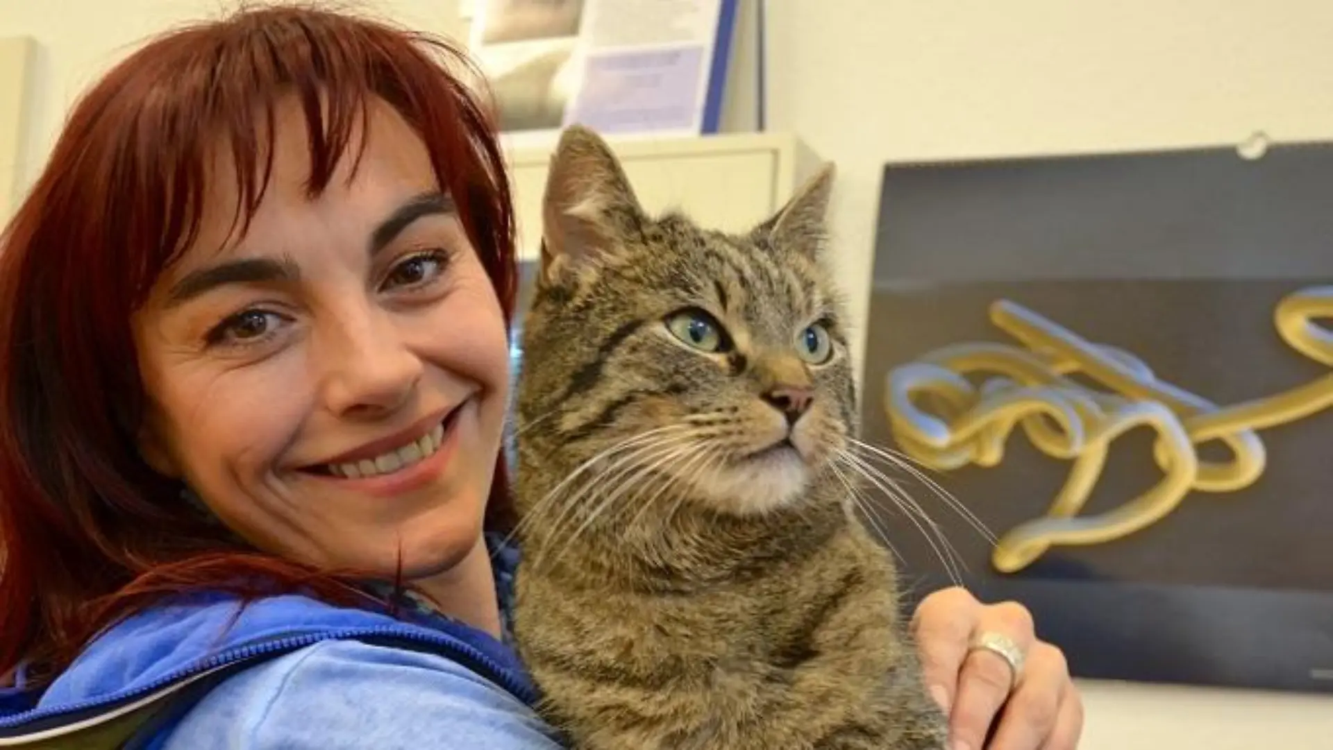 Tiergeschichten1 - VOX-DOCMA TV-JULIA PANZER - Diana lsst ihren Kater Smudo auf Parasiten untersuchen