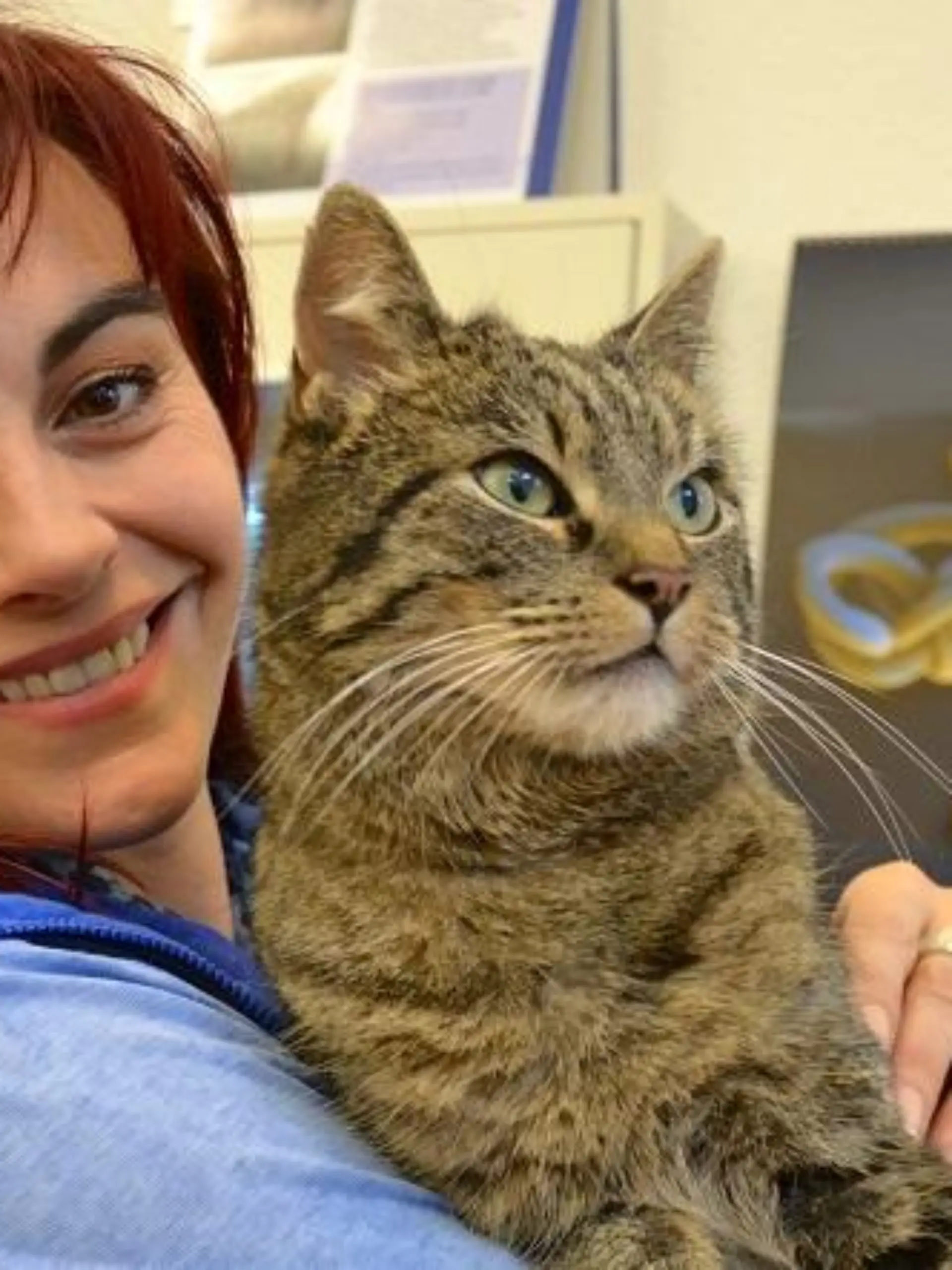Tiergeschichten1 - VOX-DOCMA TV-JULIA PANZER - Diana lsst ihren Kater Smudo auf Parasiten untersuchen