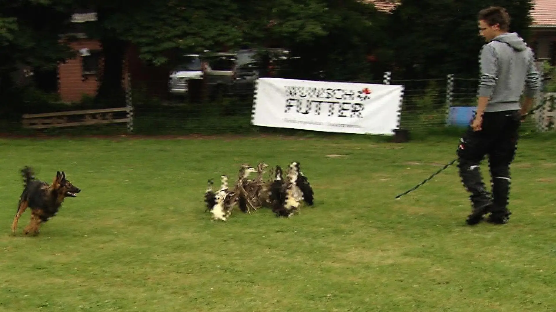 Tiergeschichten3 - VOX - Florian und Lou beim Training