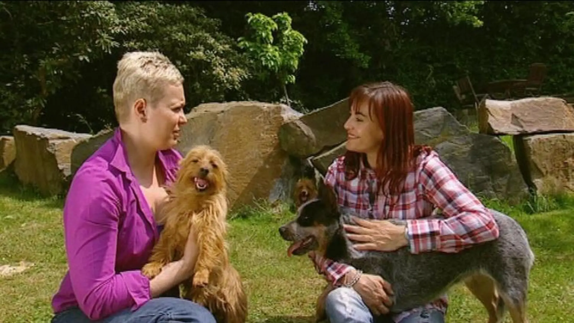 tiergeschichten1 Diana Eichhorn Zuzana Behne