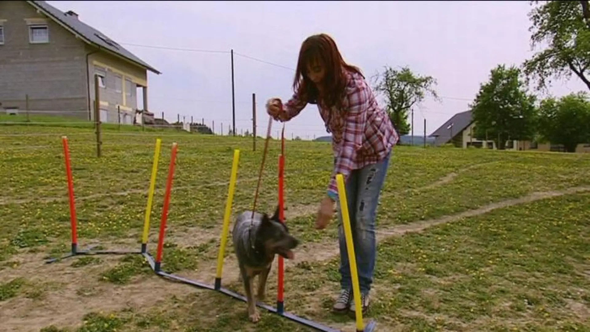 tiergeschichten1 Diana Eichhorn Agility