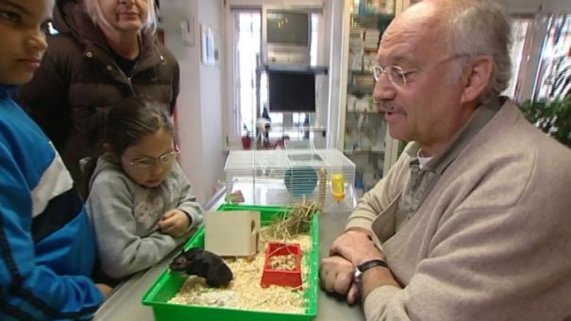sprechstunde2 goldhamster2