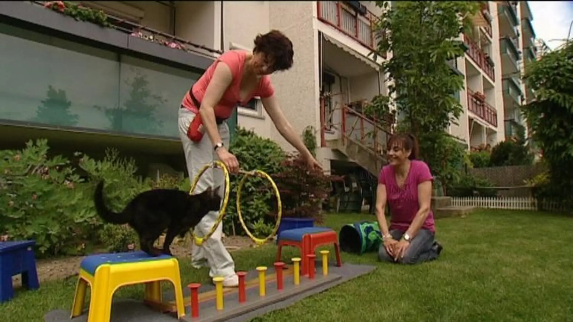 tiergeschichten1 a2