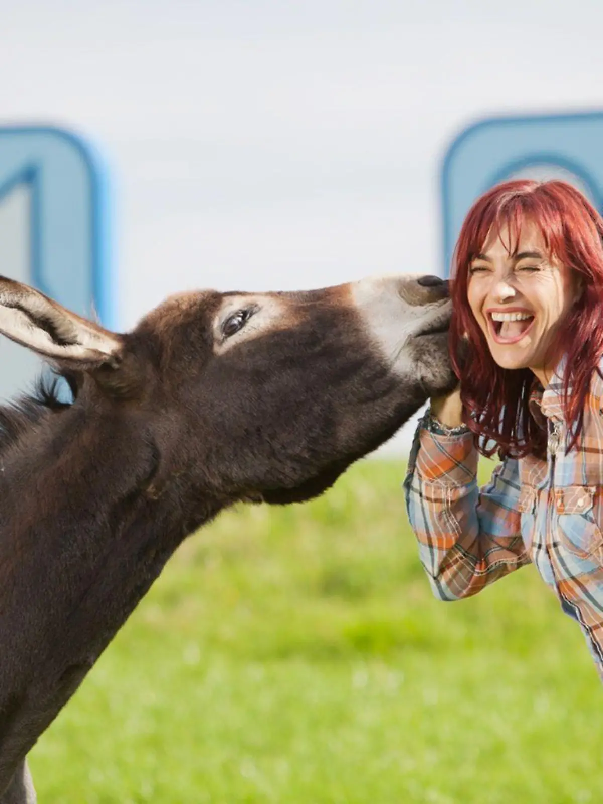 Diana Eichhorn mit Esel "Jakob" beim Jubiläumsdreh der 500sten Sendung von hundkatzemaus.