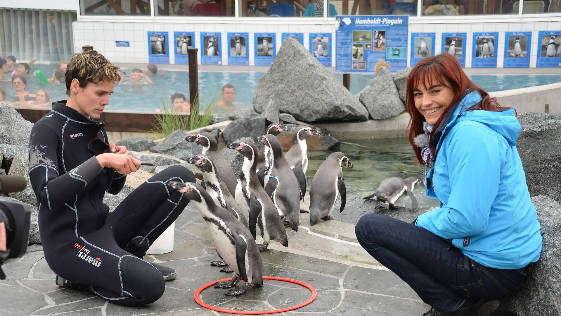Tiergeschichten 2 - Bild 1 - Pinguine-Diana-Nicolle Mller