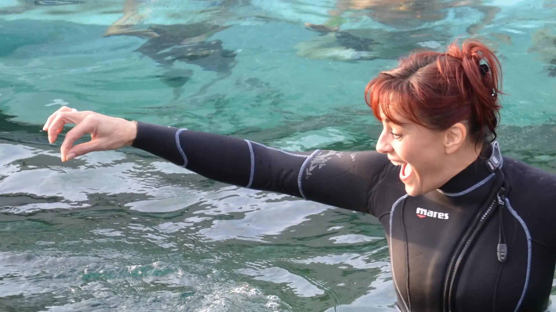 Tiergeschichten 2 - Bild 2 - Pinguine - Diana im Wasser