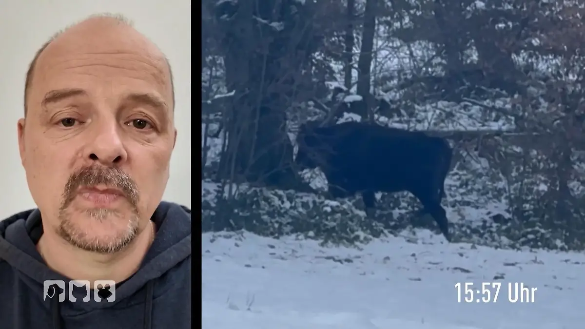hundkatzemaus: Der Düsseldorfer Tierretter Stefan Böcking setzt alles daran die "Wilde Hilde" zu retten.