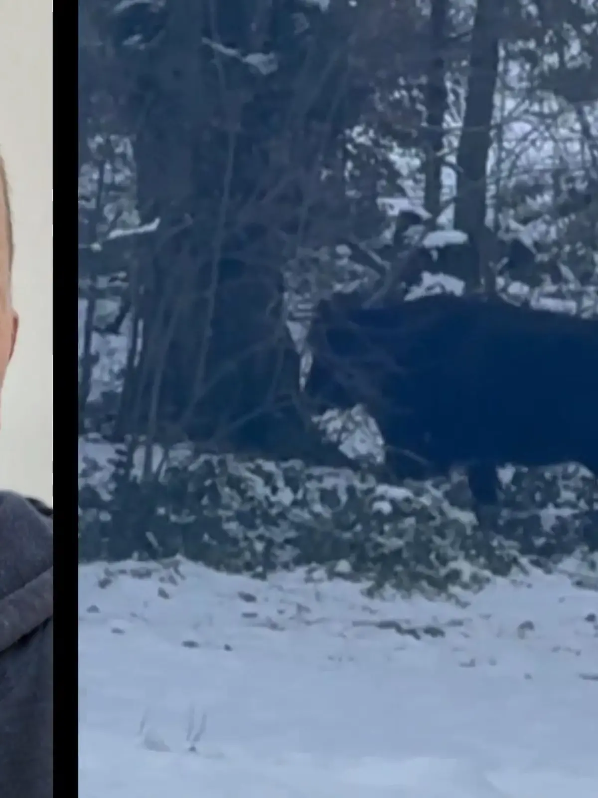 hundkatzemaus: Der Düsseldorfer Tierretter Stefan Böcking setzt alles daran die "Wilde Hilde" zu retten.