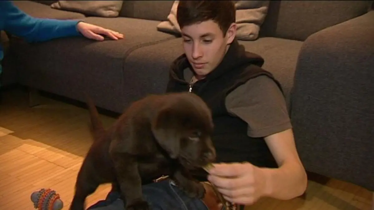 blindenhund justus mit dolph