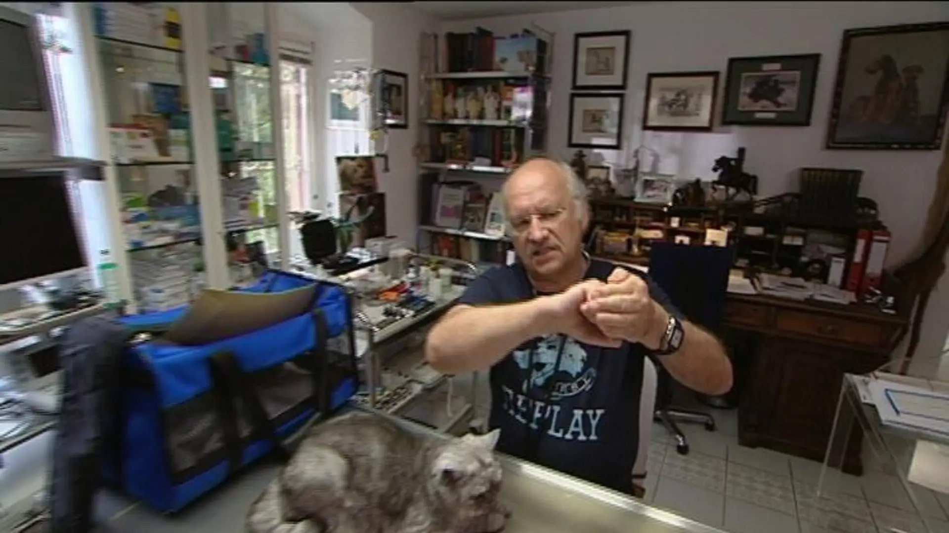 sprechstunde1 Dr Wolf und Katze mit Hftdysplasie