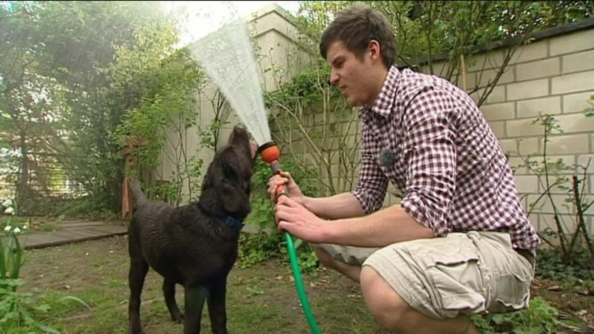 blindenhund dolph und jakob