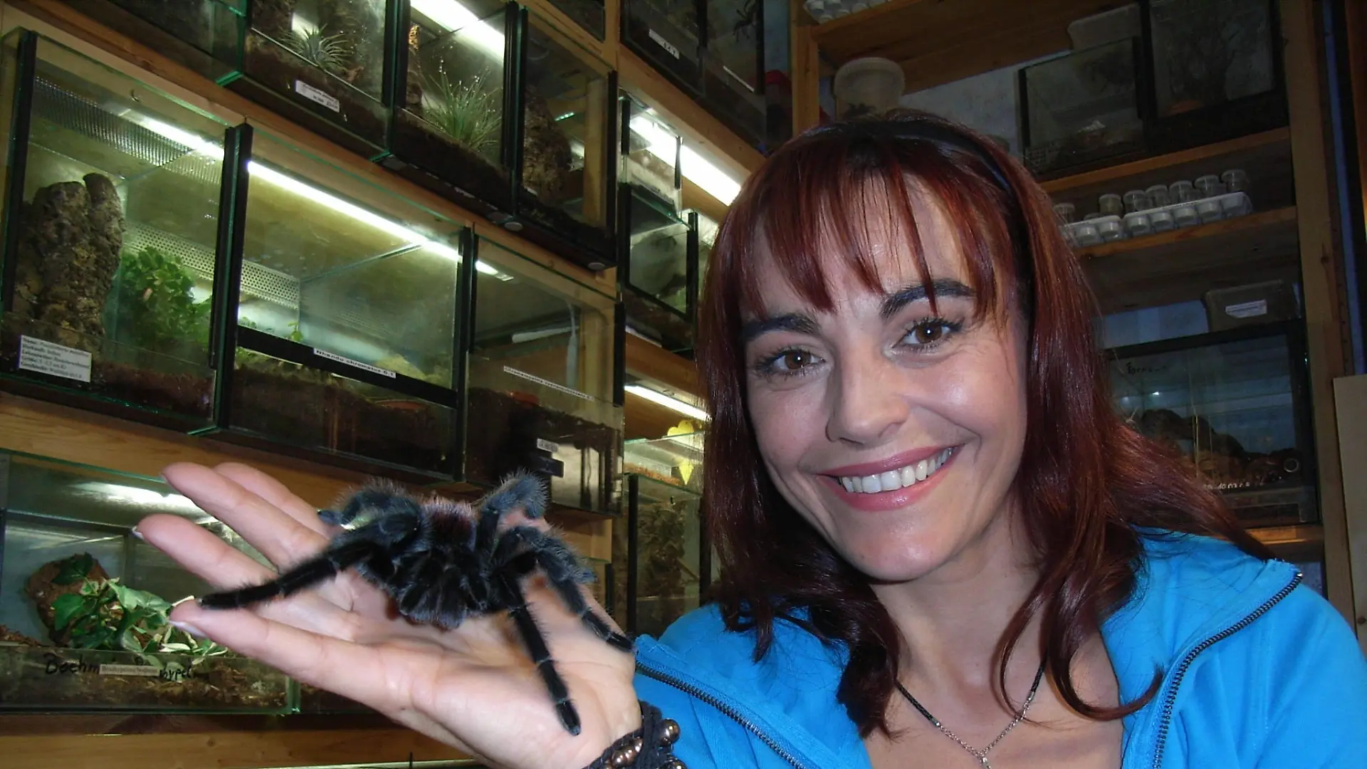 Tiergeschichten 2 - Diana und Vogelspinne