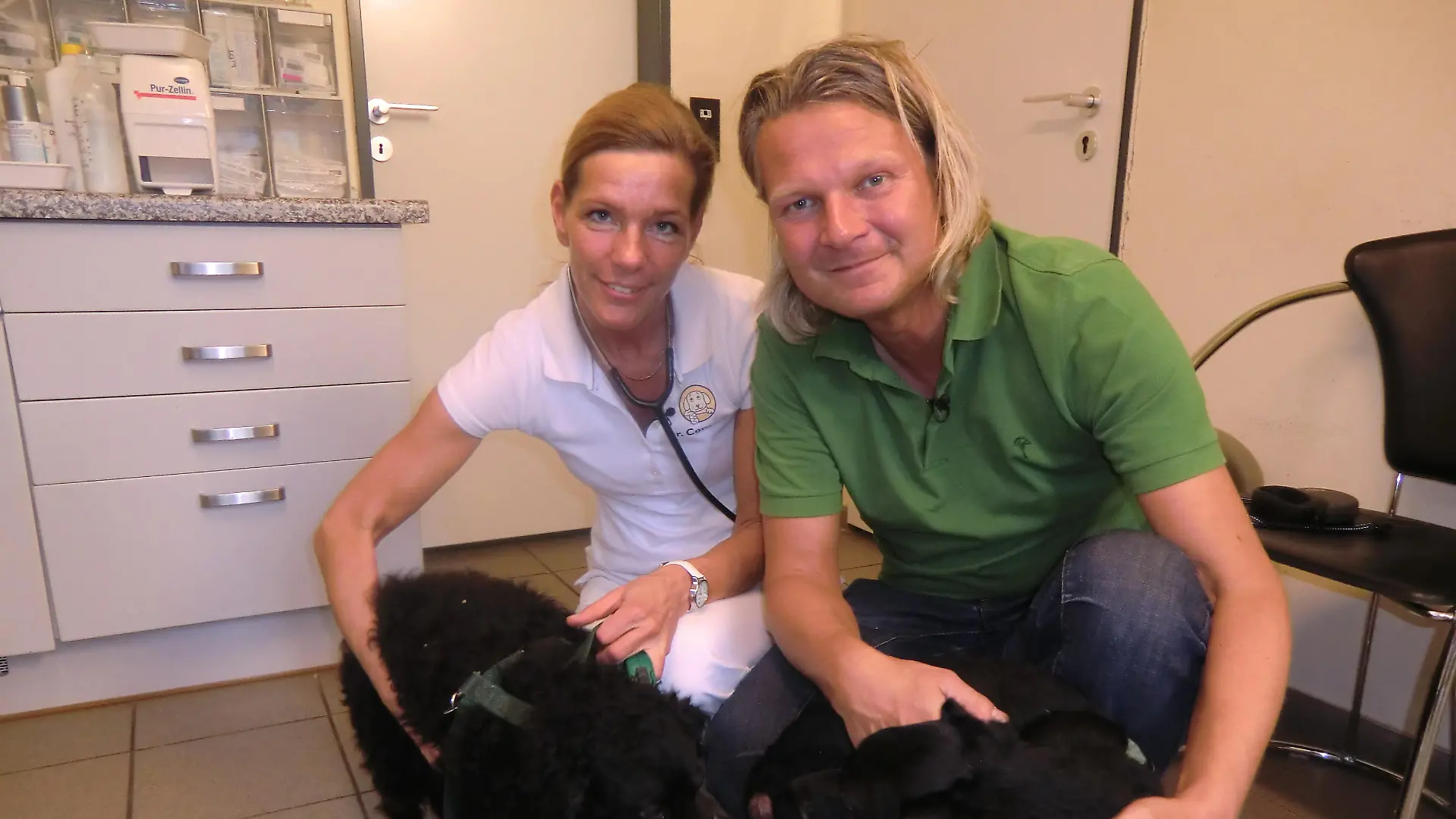 Tiere in Not 2