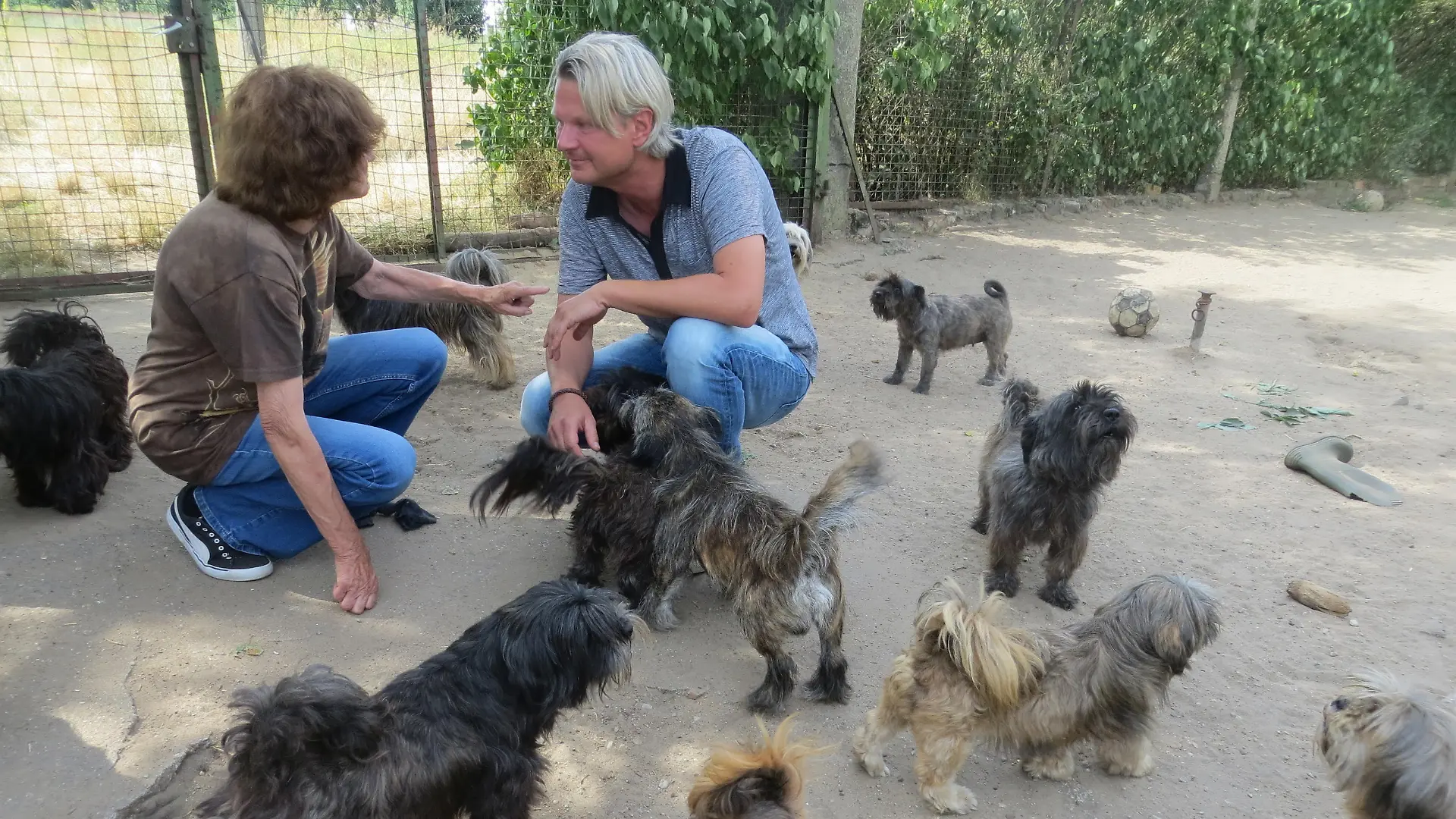 Tiere in Not - VOX-DOCMA TV-DR. GERALD KRAKAUER- Hunde von Reppichau