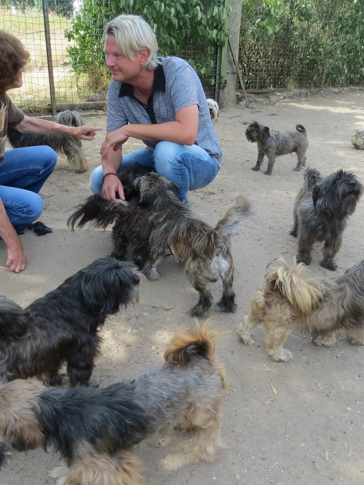 Tiere in Not - VOX-DOCMA TV-DR. GERALD KRAKAUER- Hunde von Reppichau