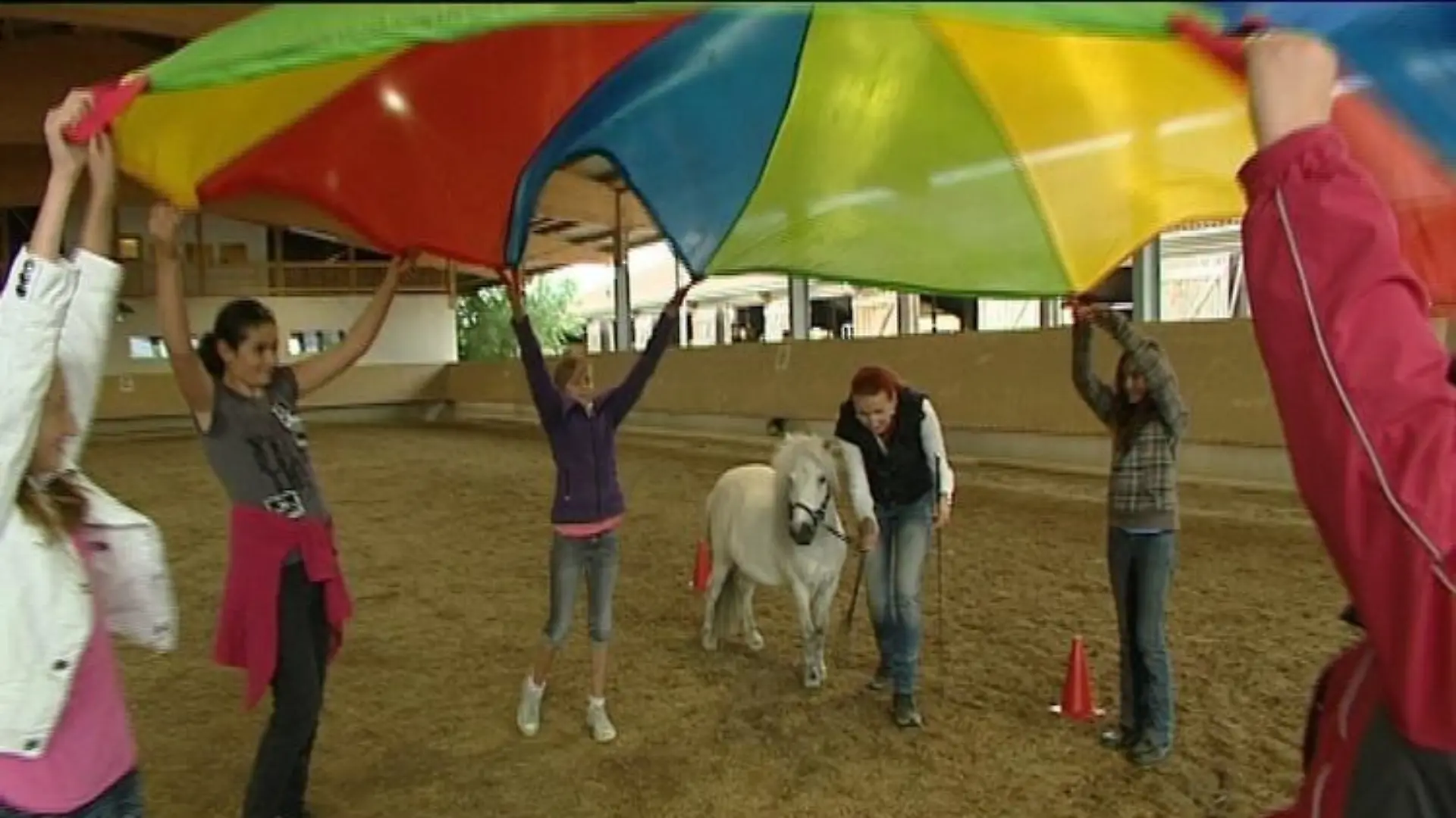 Tiergeschichten2 Showpony Kinder