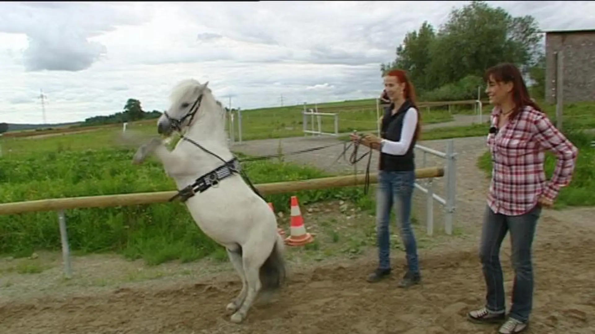 Tiergeschichten2 Showpony Diana