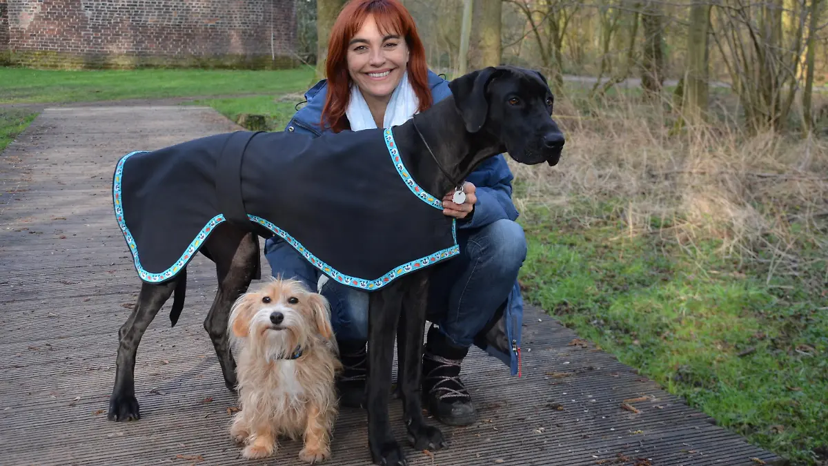 DIY Hundedecke VOX DOCMA TV.JPG