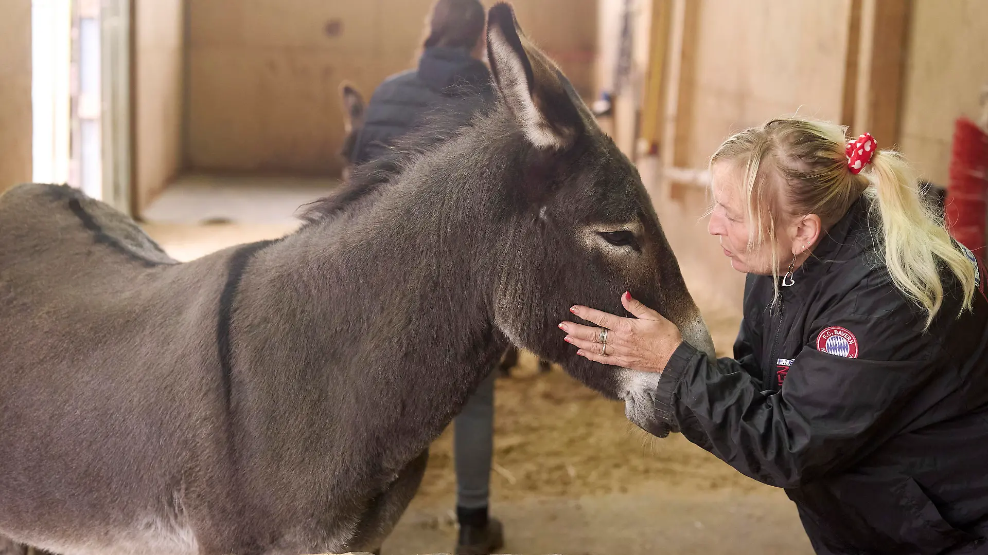 Brigitte Dreiser mit einem ihrer Esel. Auf dem Begegnungsbauernhof Tierliebe Thür kann man Esel streicheln um Stress abzubauen.
