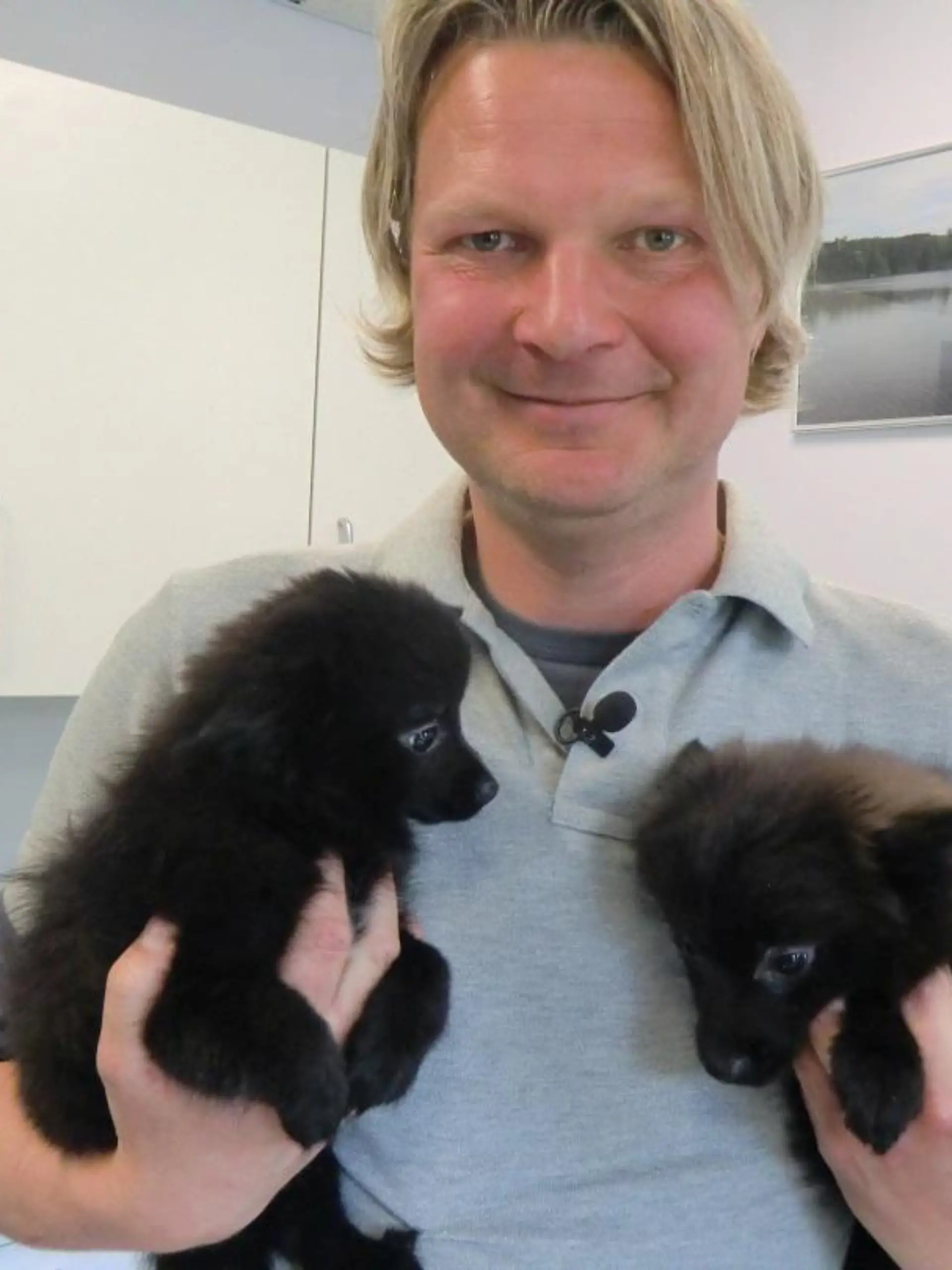 Tiere in Not - VOX-DOCMA TV - Frank Weber - Welpenhandel