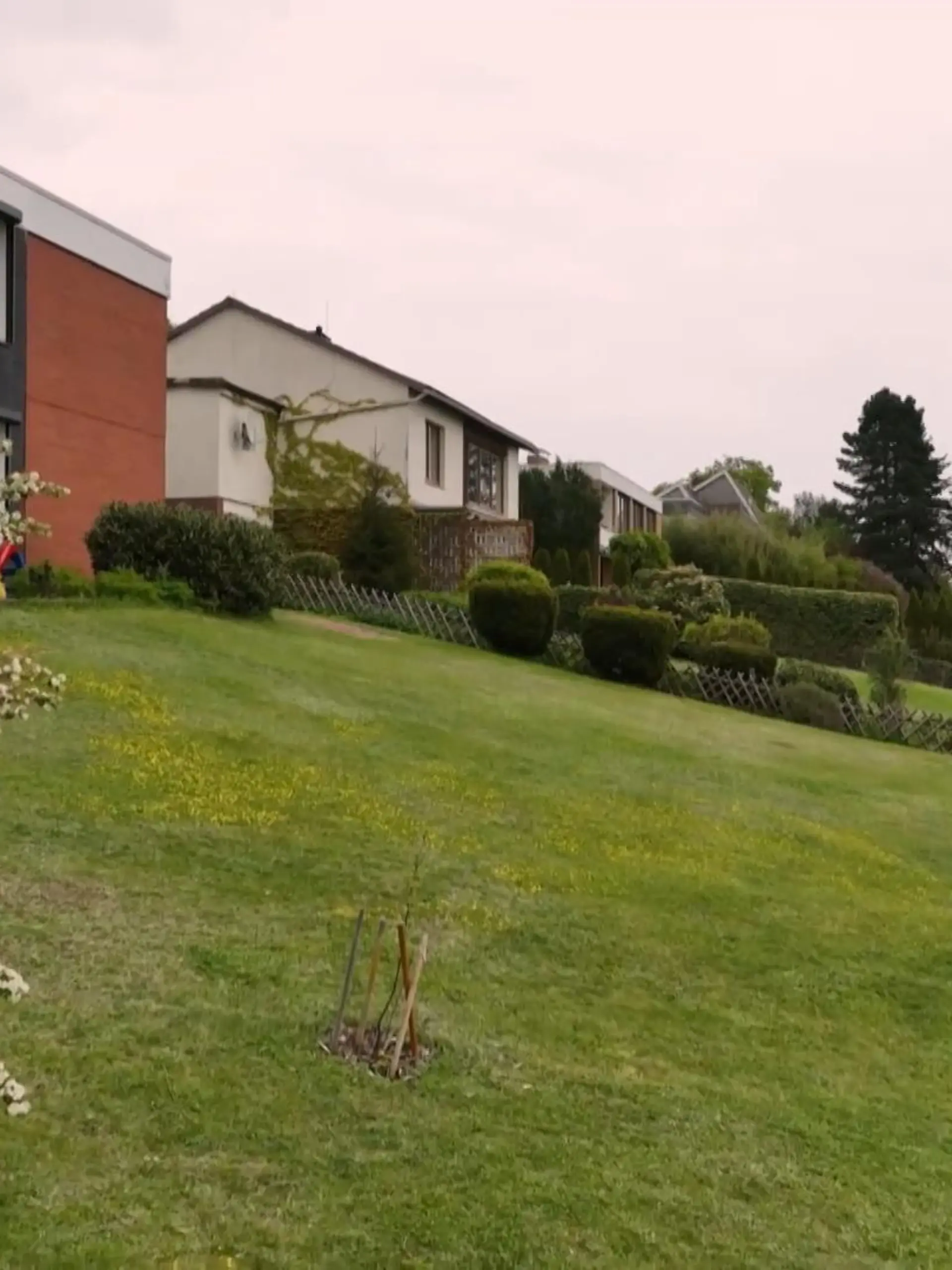 Dieser langweilige Garten wurde innerhalb einer Woche zum Traumgarten für die Familie