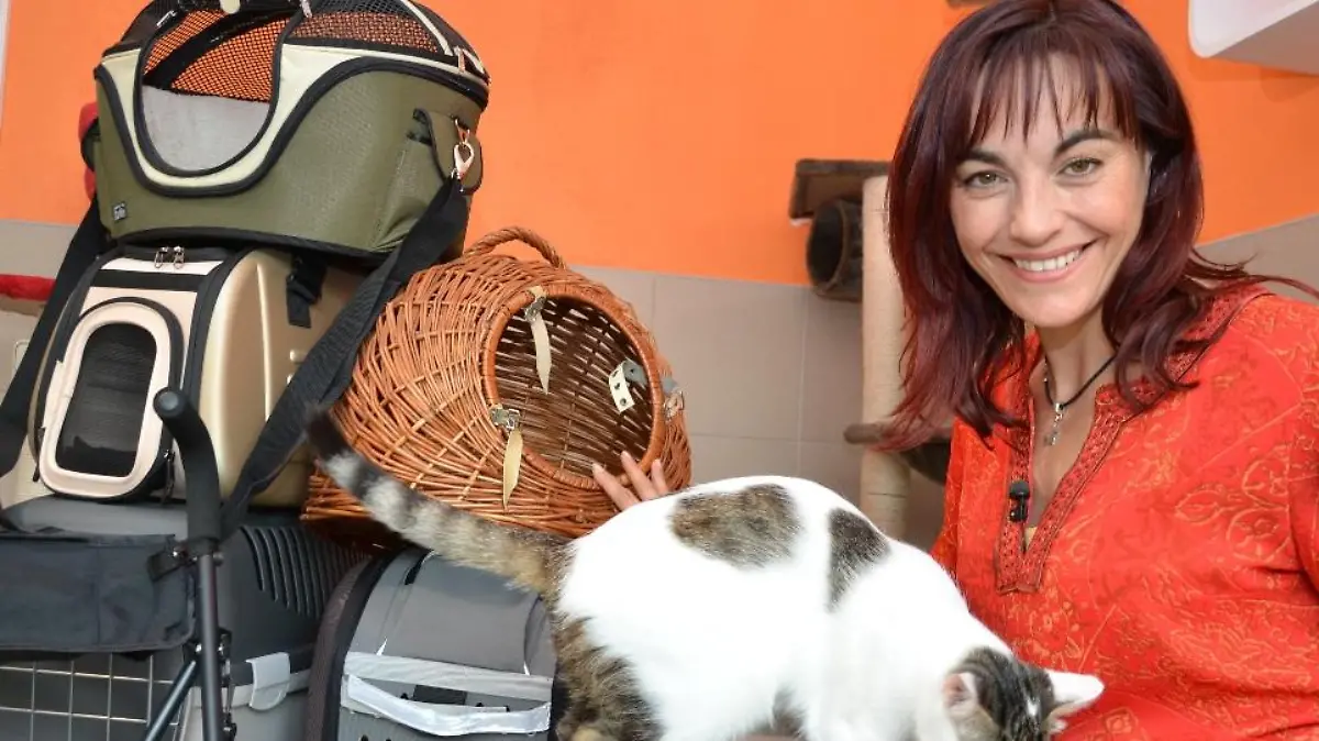 Vorschau1 - Diana und Katzentransportboxen