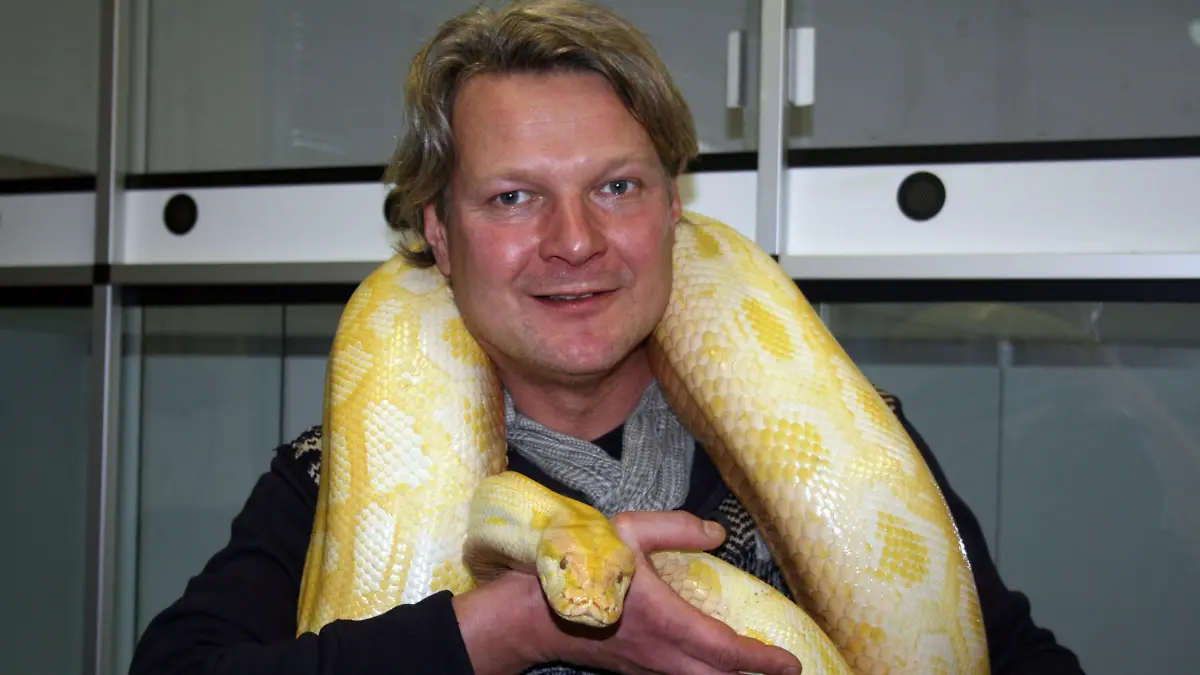 Tierschutzexperte Frank Weber mit einem ausgewachsenen Albino Tigerpython.
