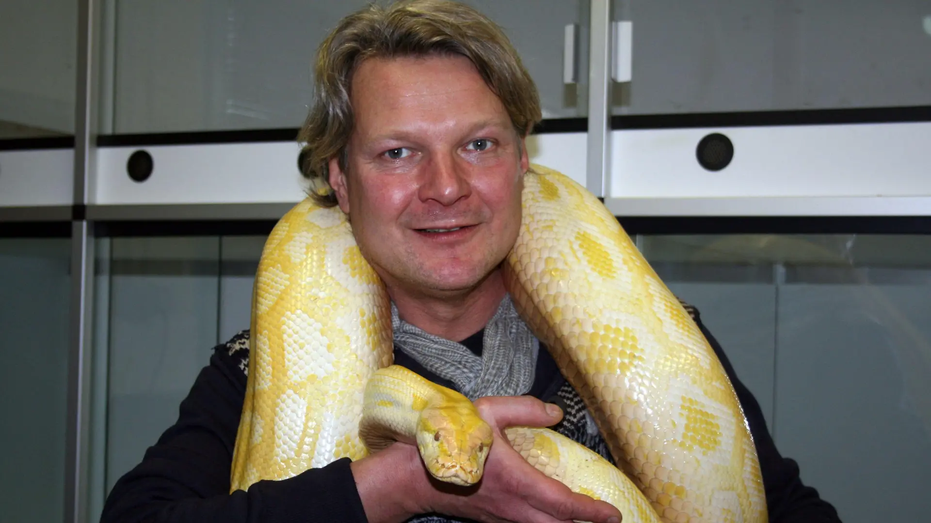 Tierschutzexperte Frank Weber mit einem ausgewachsenen Albino Tigerpython.