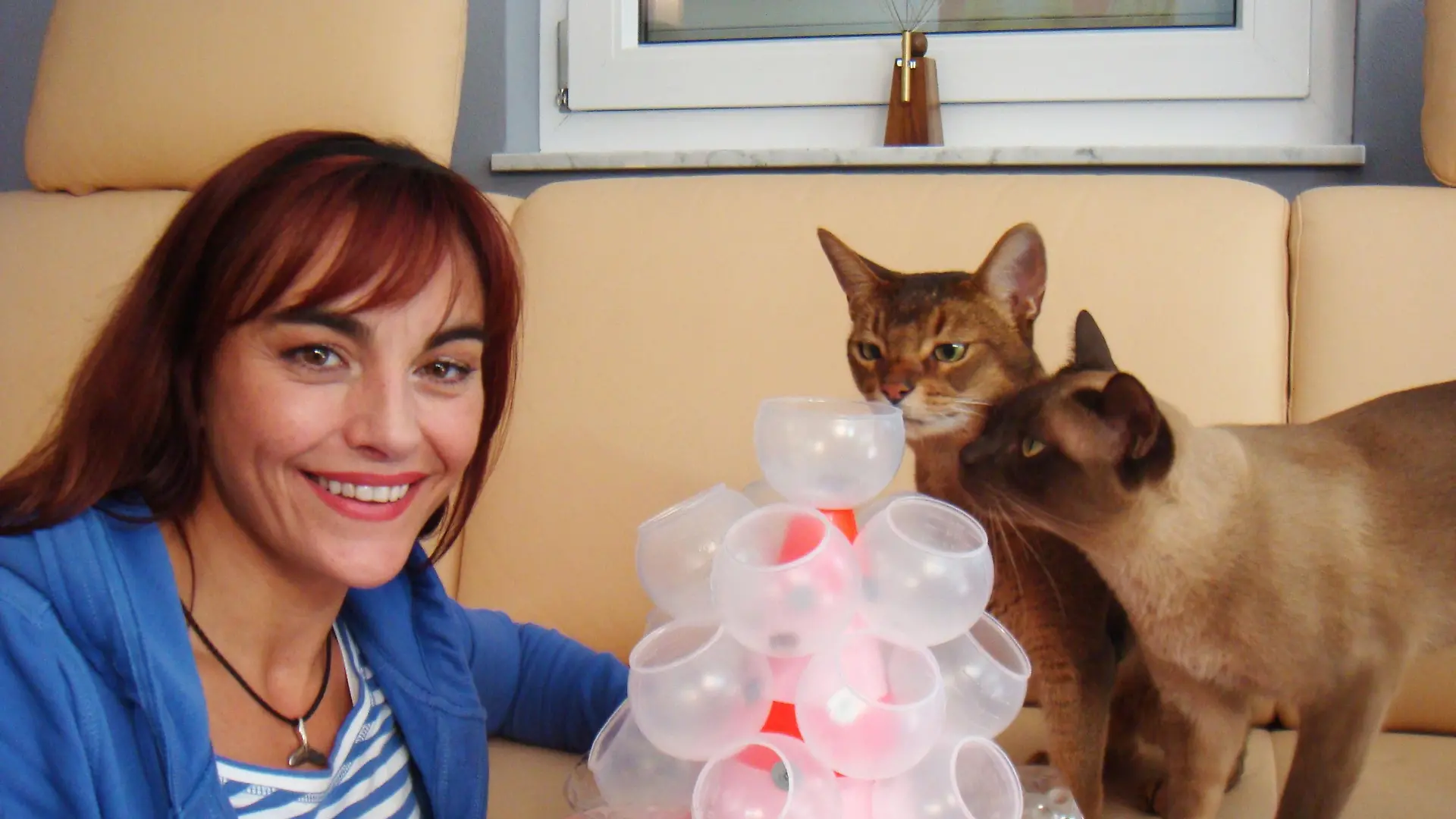 Tierreporterin Diana Eichhorn mit den Fummelprofis Faramir und Plato an einem selbstgebauten Katzenfummelbrett.