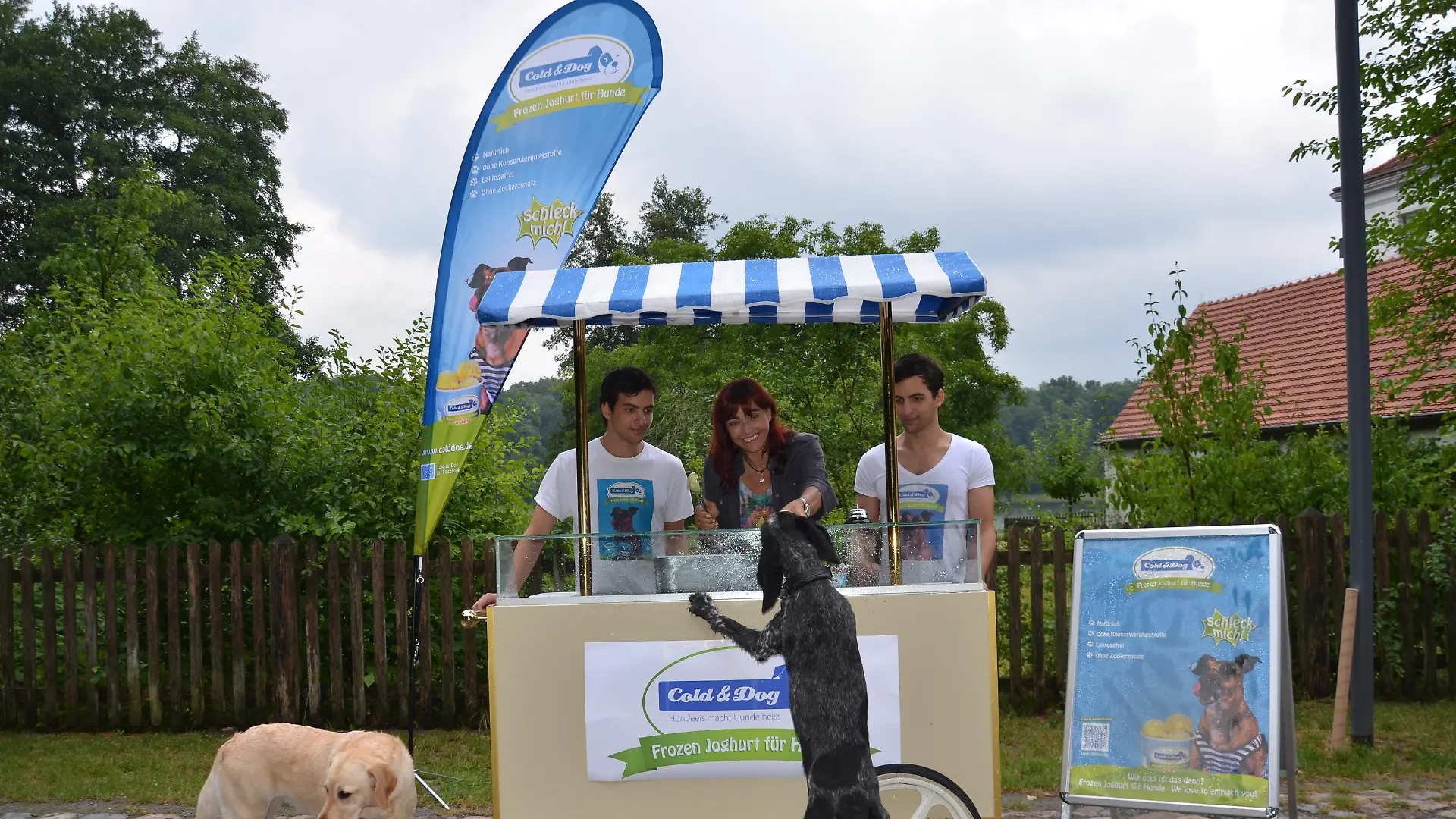 Tiergeschichten2 - VOX-DOCMA TV - Hunde-Eis als leckere Abkhlung fr Ihren Vierbeiner im Sommer