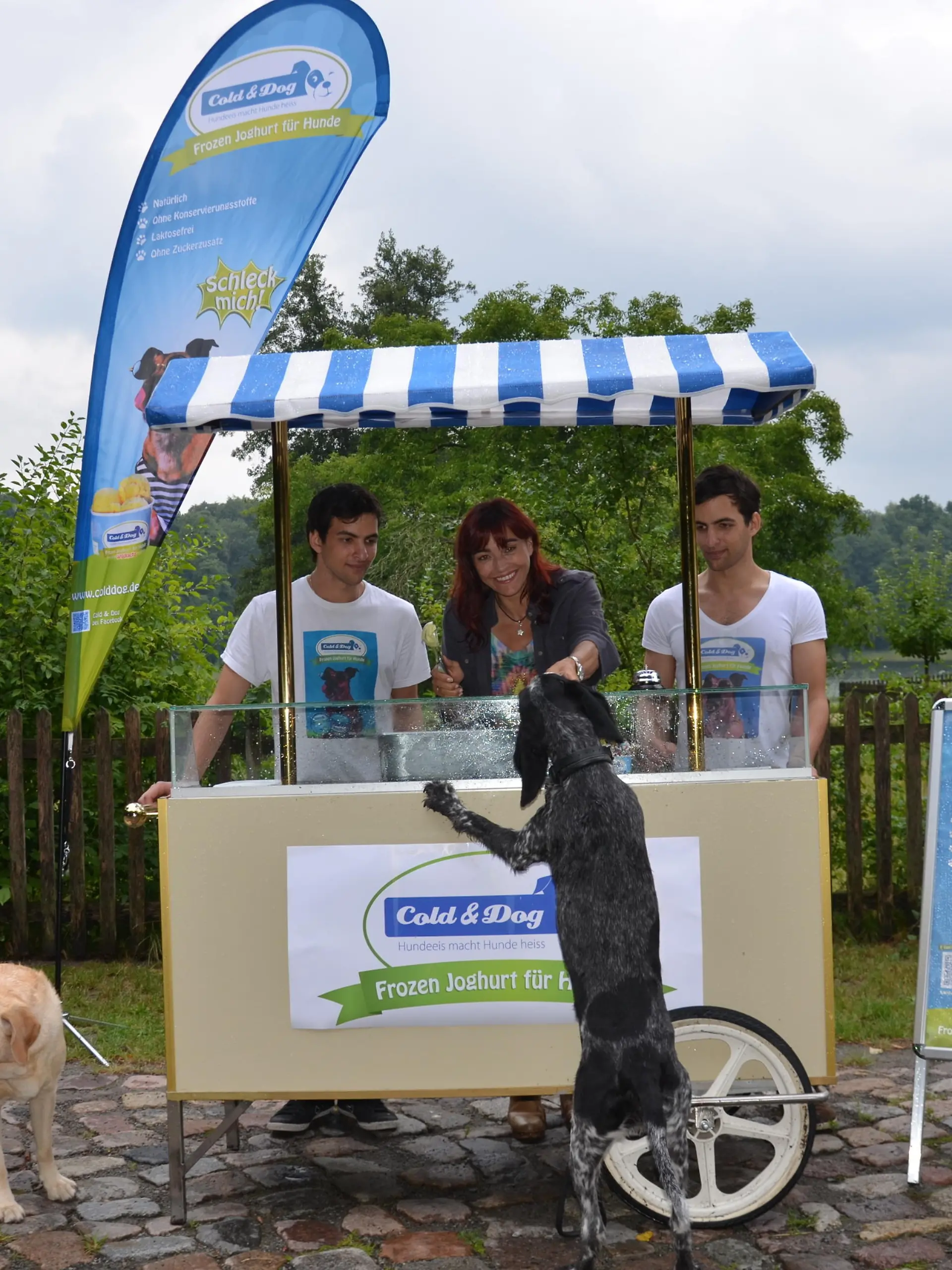 Tiergeschichten2 - VOX-DOCMA TV - Hunde-Eis als leckere Abkhlung fr Ihren Vierbeiner im Sommer