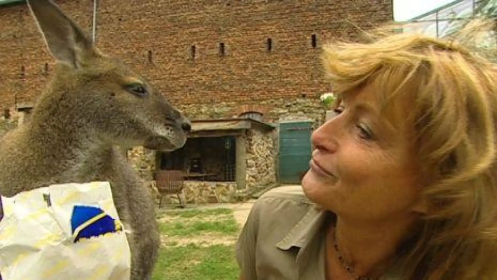 tiergeschichten3