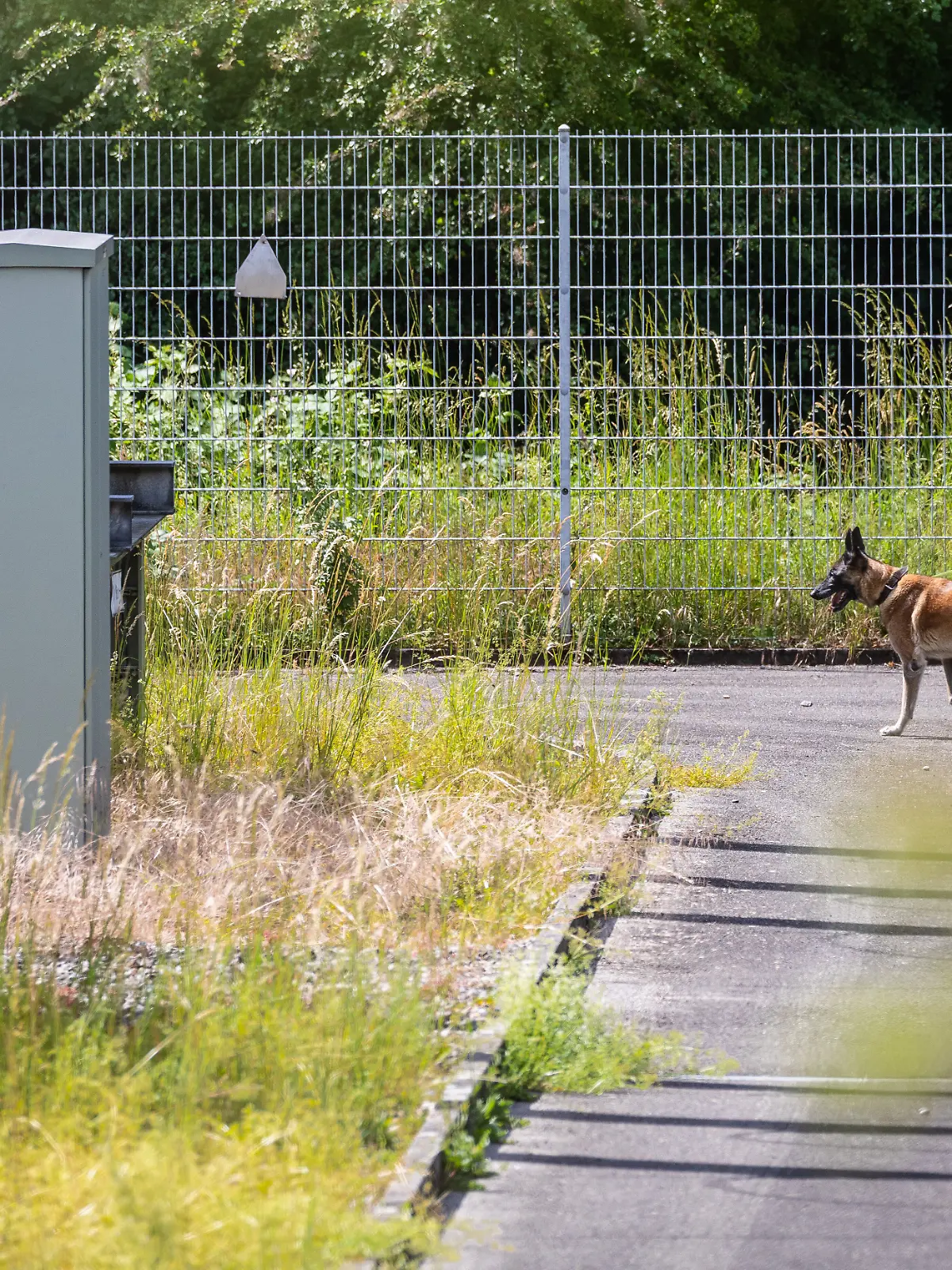 Nach einem großflächigen Stromausfall in Reutlingen geht ein Polizist mit einem Polizeihund über das Gelände eines Umspannwerks, in dem es in der Nacht gebrannt hatte. +++ dpa-Bildfunk +++